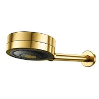 Chuveiro Docol Novo Technoshower Ouro Polido 01204843 - 1
