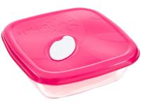 Conjunto de Assadeiras de Vidro Sempre - 5