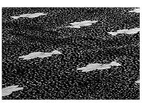 Cama Box Casal SMP Conjugada 46cm 138x188cm - 3