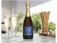 Espumante Salton Brut - 2