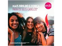 Shampoo Seda Ceramidas Infusão Ativa Retinol e Colágeno - 12