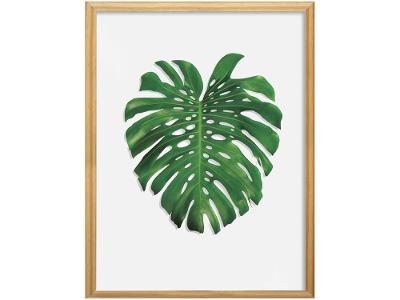 Quadro Decorativo Folhagens Costela de Adão  