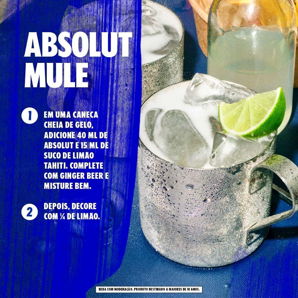 Vodka Absolut 1L - 7