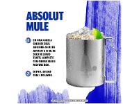 Vodka Absolut 1L - 13