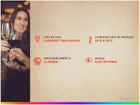 Vinho Tinto Seco Trapiche Roble Cabernet Sauvignon