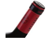 Vinho Tinto Seco Salton Intenso Cabernet Sauvignon - 7