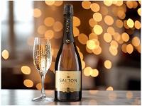 Espumante Salton Prosecco Brut - 2