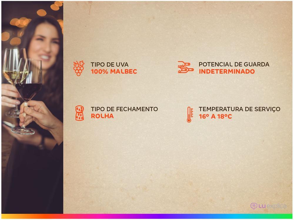 Vinho Tinto Meio Seco Bodega Del Fin Del Mundo La Poderosa Malbec Argentina 750ml - 4