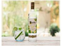 Vodka Ketel One Botanical Cucumber & Mint 750ml