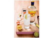Gin Gordons London Dry Clássico e Seco 750ml - 10