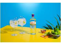 Gin Gordons London Dry Clássico e Seco 750ml
