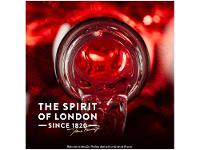 Gin Beefeater 24 750ml - 13