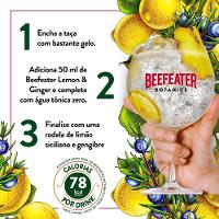 Gin Beefeater London Dry 750ml - 7