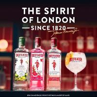 Gin Beefeater London Dry 750ml - 8