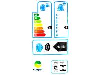 Pneu Aro 16” Pirelli 205/60R16 92H S-ATR - 7