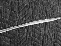 Cama Box Solteiro Conjugado 88x43x188cm - 8