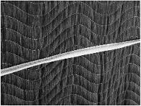 Cama Box Solteiro Conjugado 88x43x188cm - 9