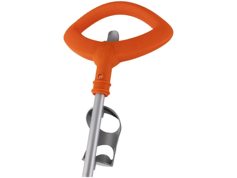 Triciclo Infantil Zootico com Empurrador Bandeira  - 4