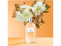 Perfume Victorio & Lucchino Magnólia Sensual N6 - 3