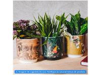 Vaso de Cerâmica Royal Tropical 13x12cm - 2