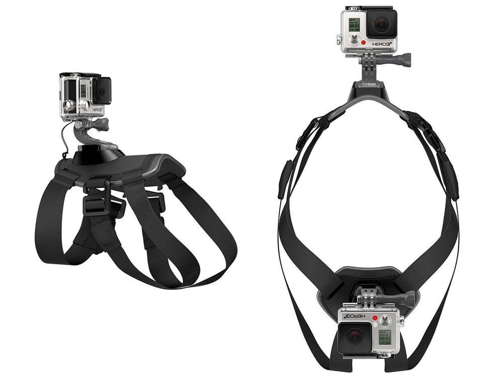 Cinturão Canino - 4