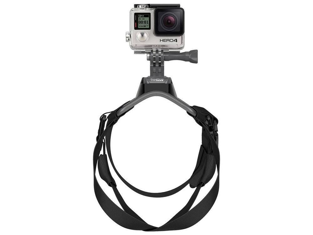 Cinturão Canino - 6