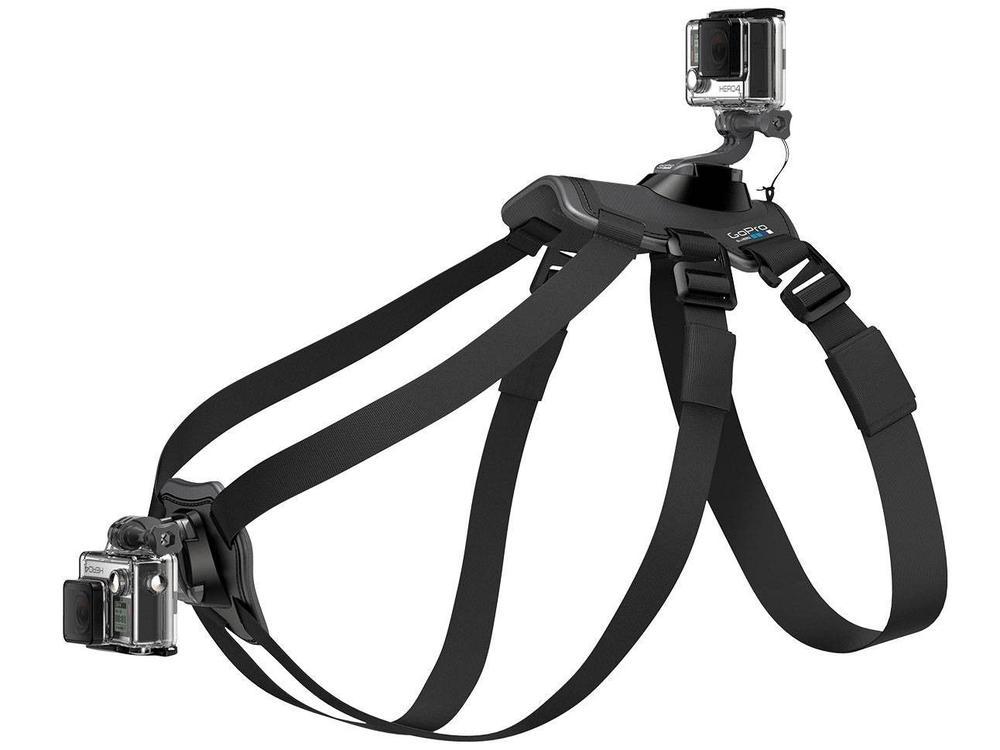 Cinturão Canino - 7