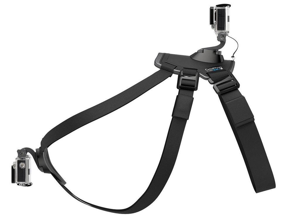 Cinturão Canino - 9