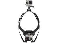 Cinturão Canino - 5