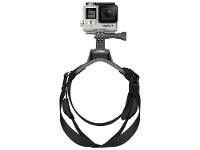 Cinturão Canino - 6