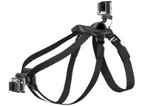 Cinturão Canino - 7