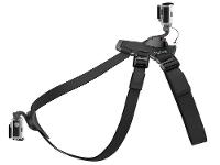 Cinturão Canino - 9