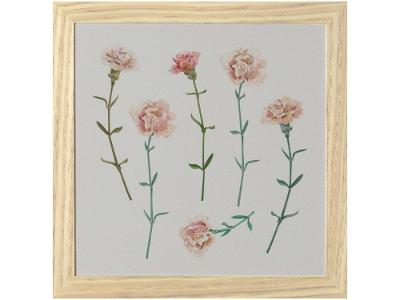 Quadro Decorativo Inspiração Botânica Flores