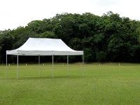 Gazebo Mor Poliéster Branco 6x3m - 1