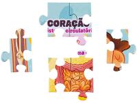 Quebra-cabeça 100 Peças Por Dentro do Corpo Humano