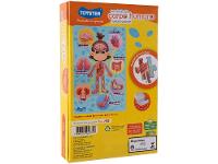 Quebra-cabeça 100 Peças Por Dentro do Corpo Humano - 7