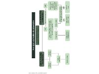 Livro Cabeça Fria Coração Quente - 5