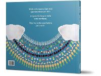 Livro A Espera por Você