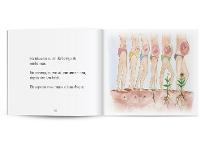 Livro A Espera por Você - 5