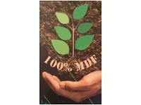 Guarda-roupa Casal com Espelho 6 Portas 6 Gavetas Móveis Europa Ripado Potente - 5