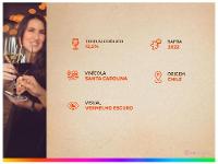 Vinho Tinto Seco Santa Carolina Reservado Cabernet Sauvignon Merlot Chile 750ml - 10