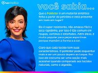 Jogo de Cama Queen 100% Poliéster Marcelino Têxtil Hypercal Preto 3 Peças - 8