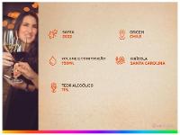 Vinho Branco Suave Santa Carolina Reservado Chile 750ml - 13