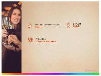 Vinho Tinto Santa Carolina Reservado Merlot Chile 750ml