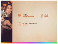 Vinho Tinto Seco Santa Carolina Reservado Carmenere Chile 750ml