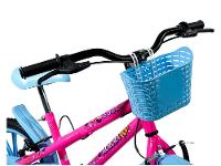 Bicicleta Infantil Aro 16 Colli Aurora Fest 