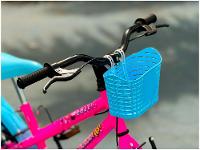 Bicicleta Infantil Aro 16 Colli Aurora Fest  - 8