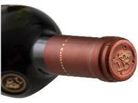 Vinho Tinto Seco Concha y Toro Carmenere - 11