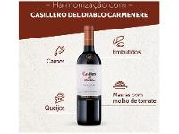 Vinho Tinto Seco Concha y Toro Carmenere - 12