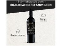 Vinho Tinto Seco Concha y Toro Black Cabernet - 6